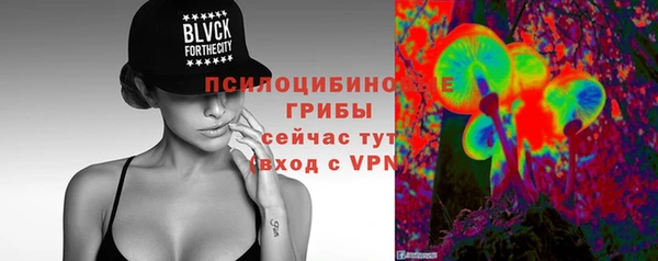 стафф Краснотурьинск