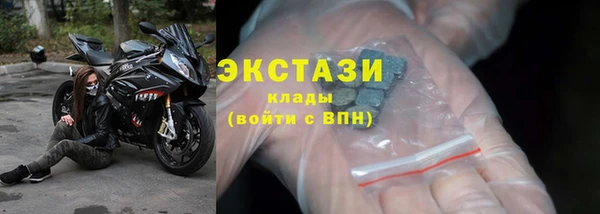 дживик Краснослободск