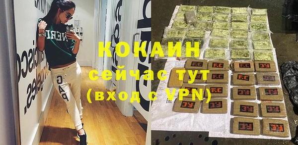 дживик Краснослободск