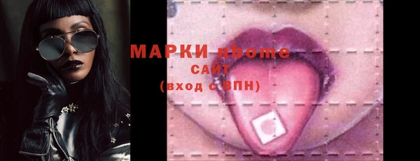 дживик Краснослободск