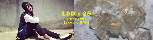 дживик Краснослободск