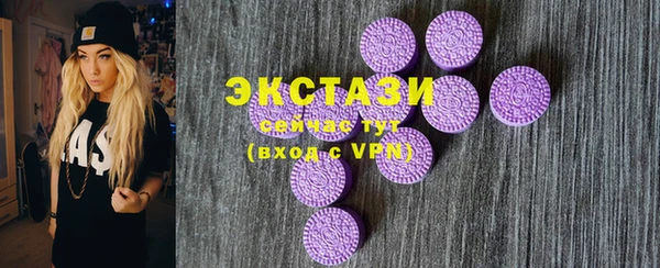 дживик Краснослободск