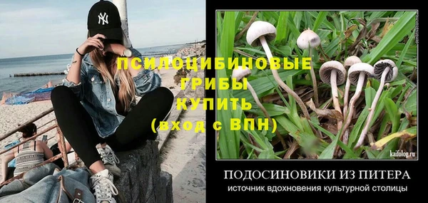 стафф Краснотурьинск
