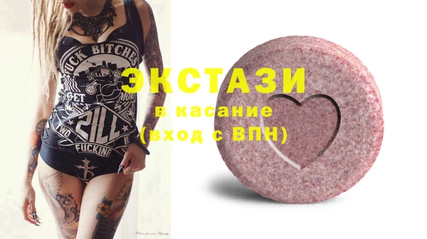 дживик Краснослободск