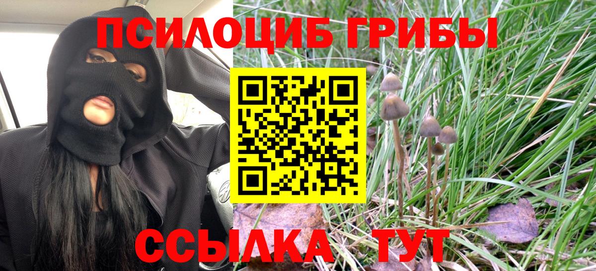 Галлюциногенные грибы MAGIC MUSHROOMS  Вход с VPN  Коломна  Галлюциногенные грибы Magic Shrooms 